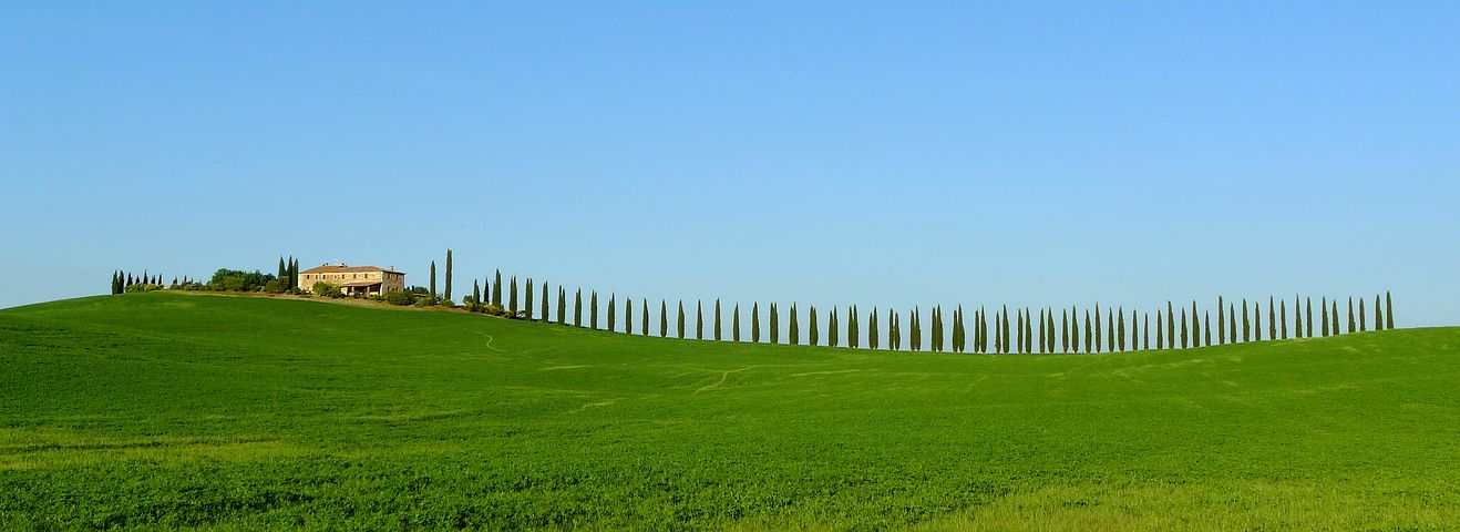 Toscana 2286630 481